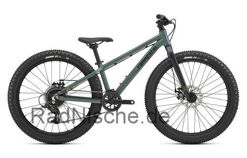 Commencal Ramones 24  technische daten 